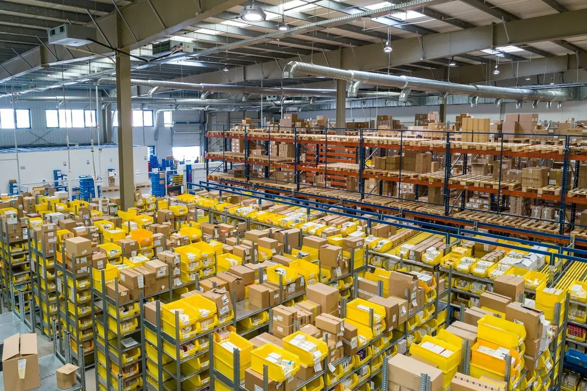 Rift Valley Distributors — Order processing automation